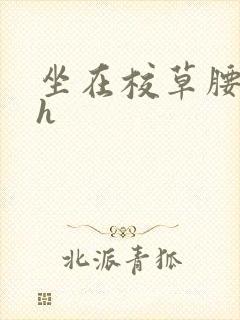 坐在校草腰上动h