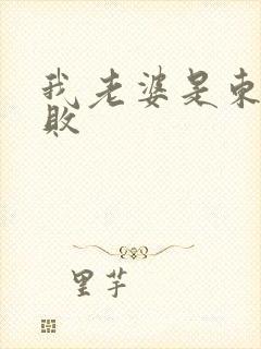 我老婆是东方不败