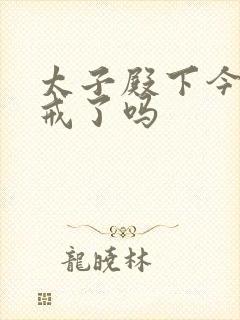 太子殿下今天破戒了吗