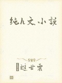 纯h文小说