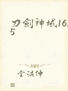 刀剑神域16.5