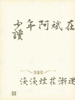 少年阿斌在线阅读封面