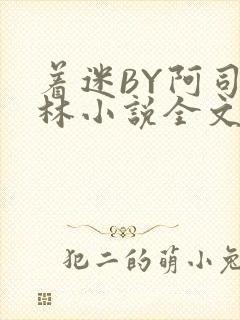 着迷BY阿司匹林小说全文免费阅读