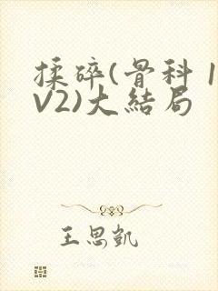 揉碎(骨科 1V2)大结局