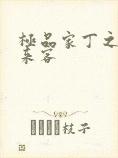 极品家丁之远方来客