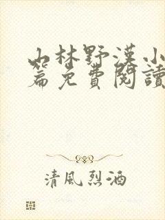 山林野汉小说全篇免费阅读