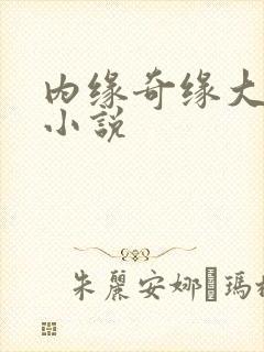 内缘奇缘大团圆小说封面