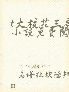 t大校花三部曲小说免费阅读全文