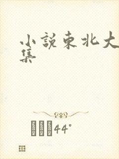 小说东北大炕全集