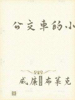 公交车的小说
