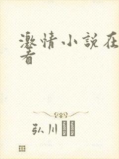 激情小说在线观看