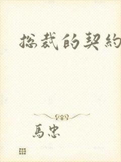 总裁的契约情人