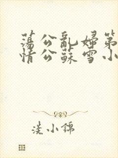 荡公乱妇第1章情公苏雪小说