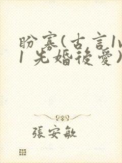 盼寡(古言1v1 先婚后爱)