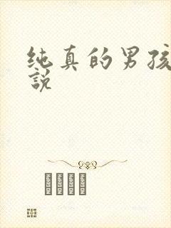 纯真的男孩子小说