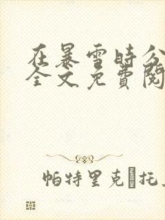 在暴雪时分小说全文免费阅读