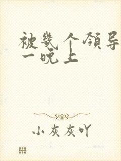 被几个领导玩弄一晚上