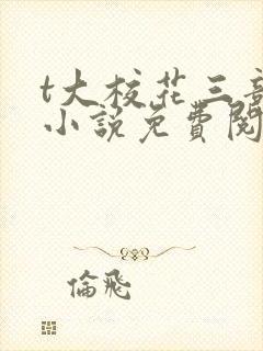 t大校花三部曲小说免费阅读全文