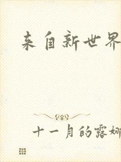 来自新世界小说