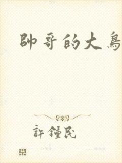 帅哥的大鸟