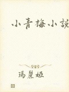 小青梅小说