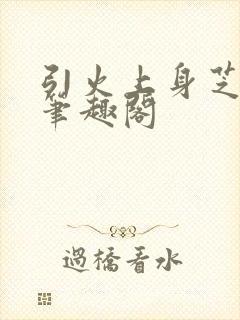 引火上身芝麻糖笔趣阁