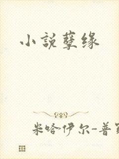 小说孽缘
