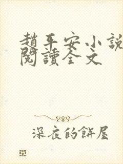 赵平安小说免费阅读全文