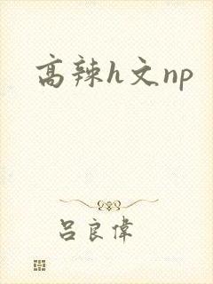 高辣h文np