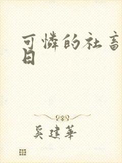 可怜的社畜东度日