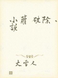 小萝 破除 小说