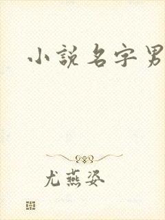 小说名字男生