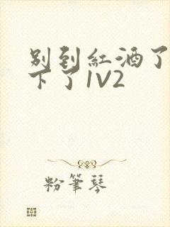 别到红酒了装不下了1V2