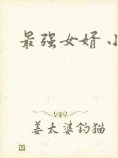 最强女婿 小说