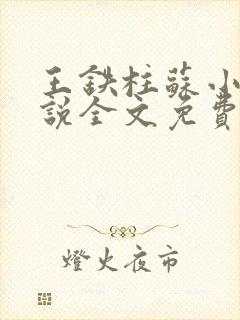 王铁柱苏小汐小说全文免费阅读最新章节