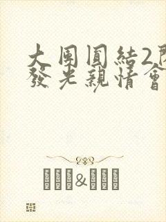 大团圆结2闪闪发光亲情会