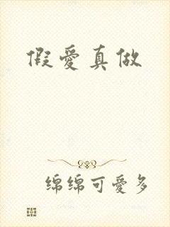 假爱真做