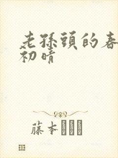 老孙头的春天林初晴