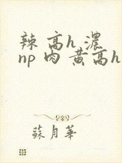 辣 高h 浓 np 肉 黄高h
