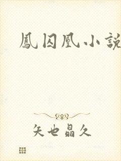 凤囚凰小说