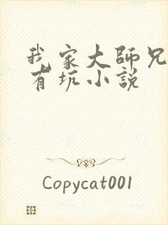 我家大师兄脑子有坑小说