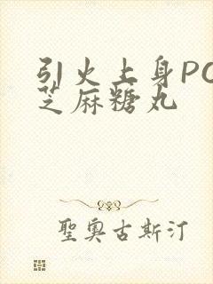 引火上身POP芝麻糖丸