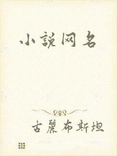 小说网名