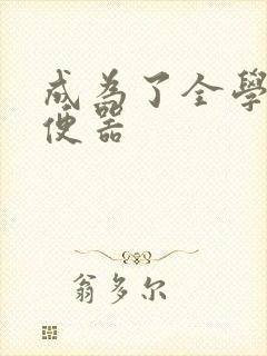 成为了全学校坐便器