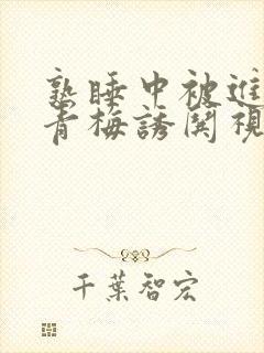 熟睡中被进了H青梅诱哄视频