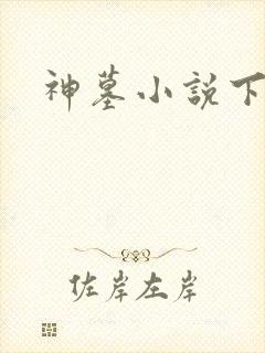 神墓小说下载