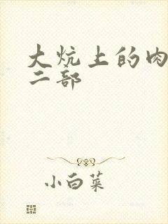 大炕上的肉伦第二部