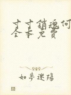 寸寸销魂何生祥全本免费