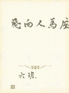 飞向人马座