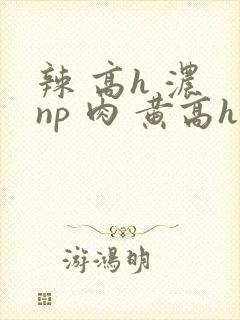 辣 高h 浓 np 肉 黄高h